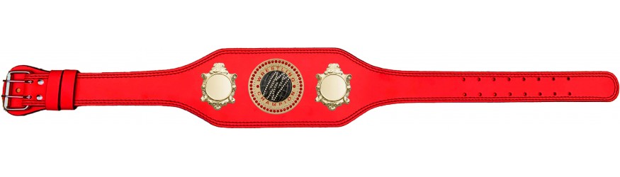 WRESTLING CHAMPIONSHIP BELT-BUD003/G/WRESTGEMG-4 COLOURS